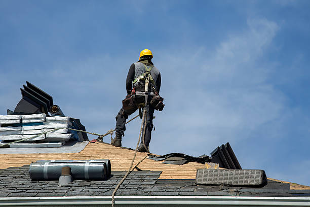 Professional Storm Damage Roof Repair technician working in Maynard, IA